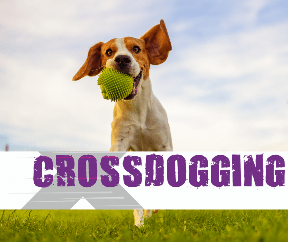 Crossdogging