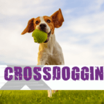 Crossdogging