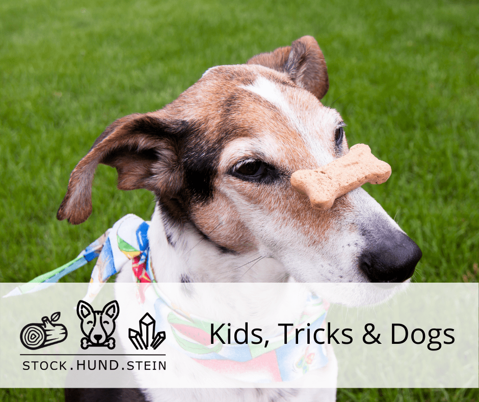 Kids, Tricks & Dogs