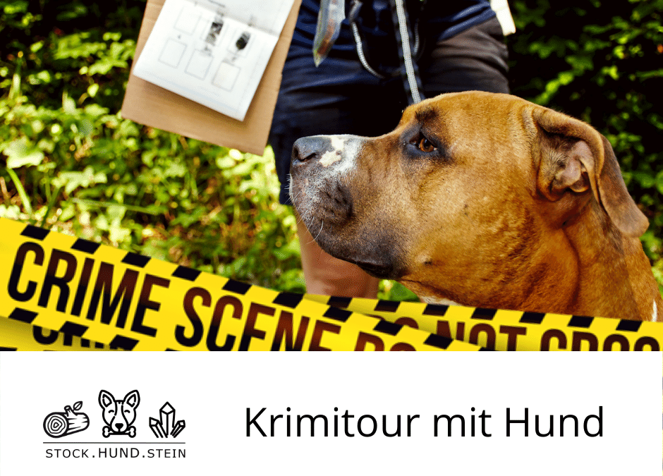 Krimitour mit Hund – Raub der Konfetti Kunstsammlung