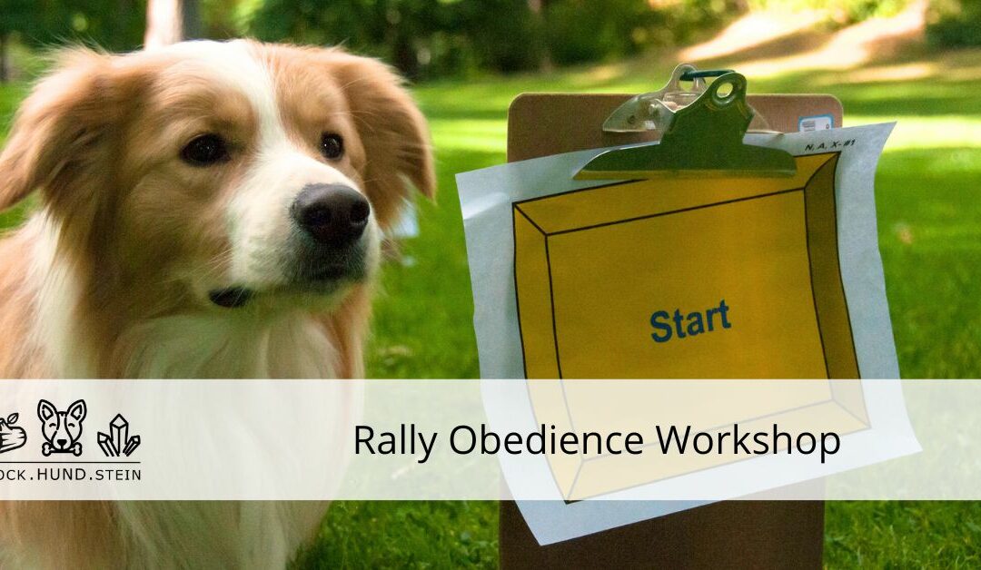 Rally Obedience Workshop