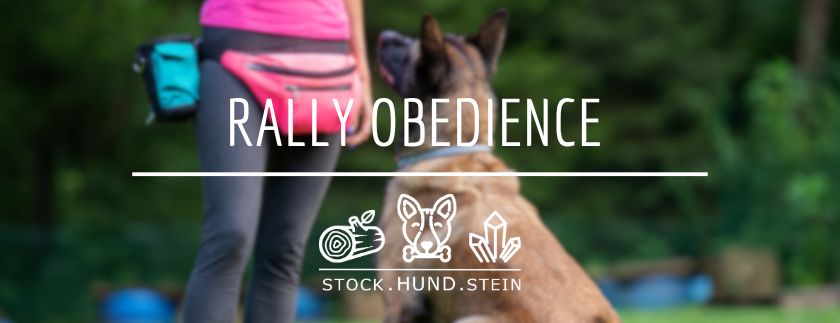 Rally Obedience Beginner – Herbstkurs